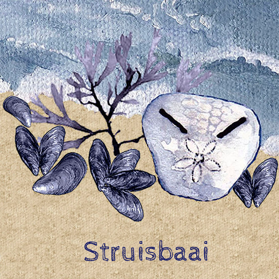 Struisbaai Coaster 11