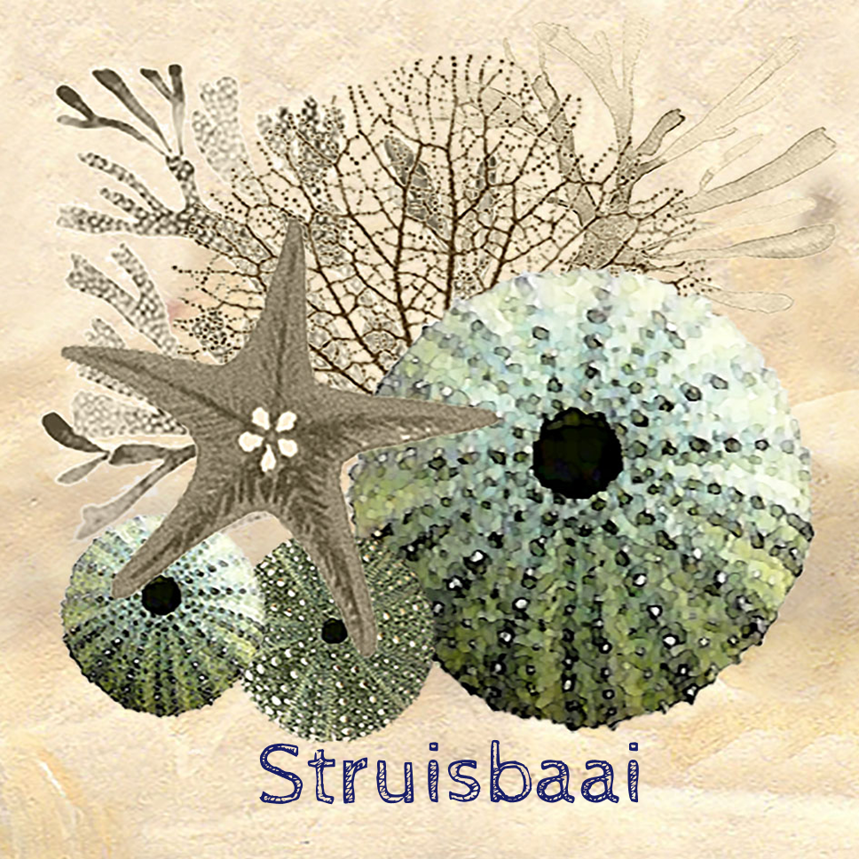 Struisbaai Coaster 14