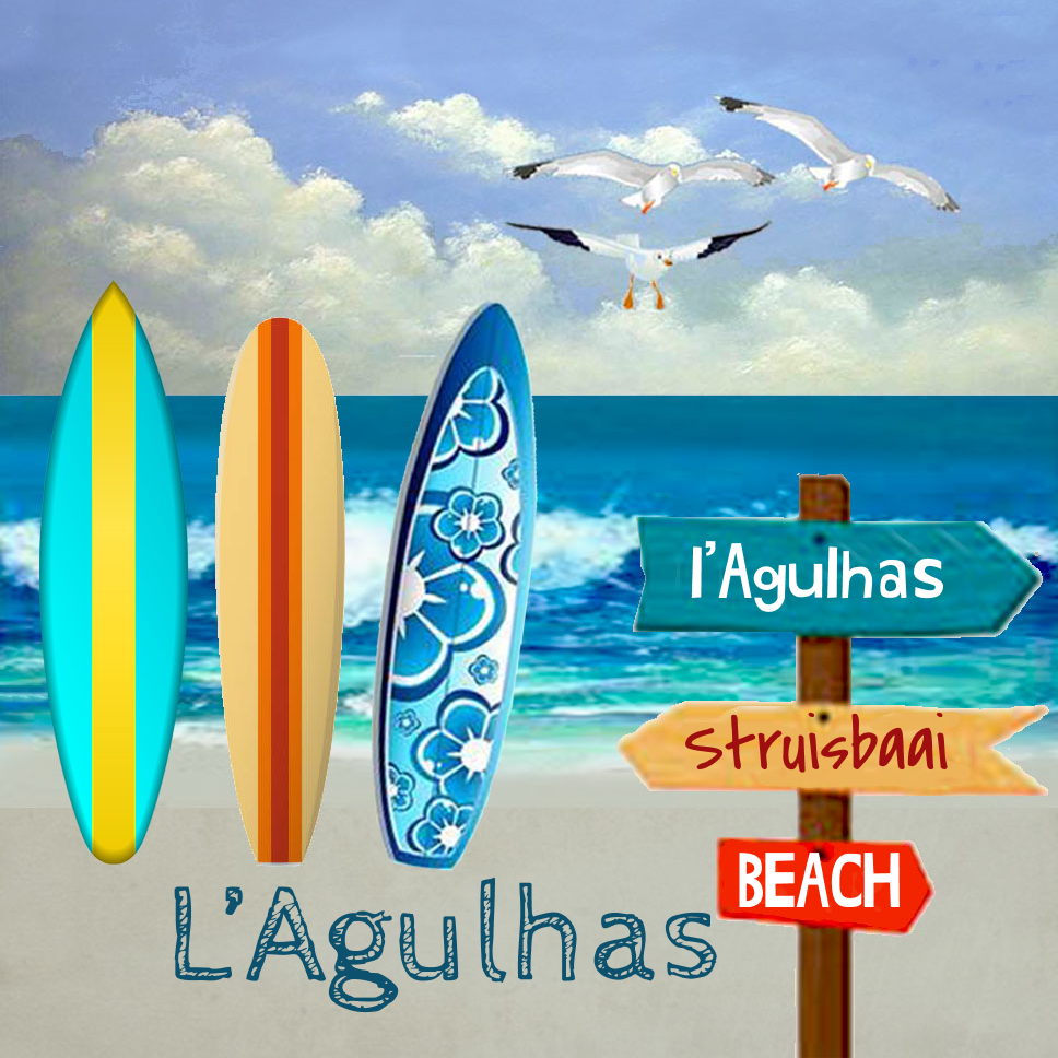 Lagulhas Coaster 25