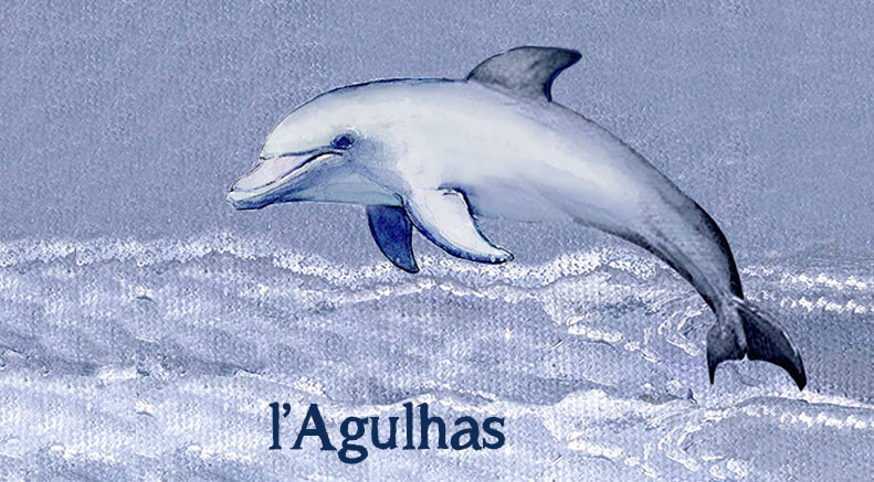 Lagulhas Keyring 29