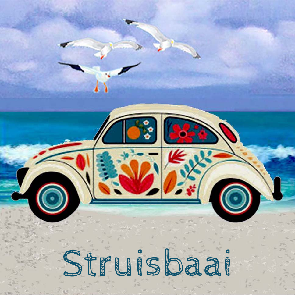 Struisbaai Coaster 26