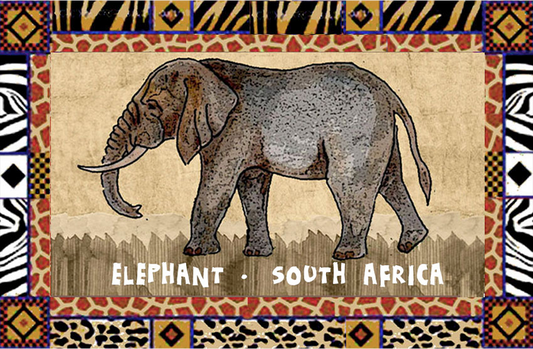 General South Africa Magnet 28