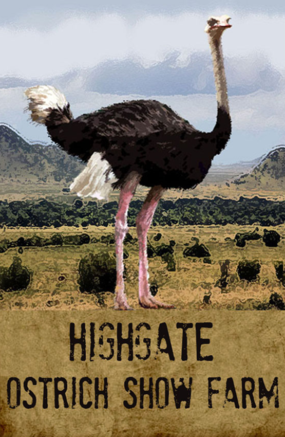 Highgate Ostrich Show Farm Magnet 18