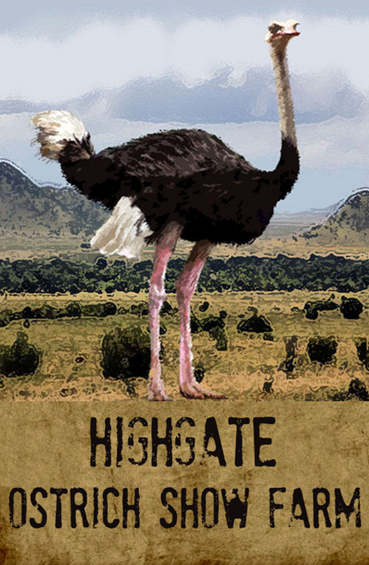Highgate Ostrich Show Farm Magnet 18