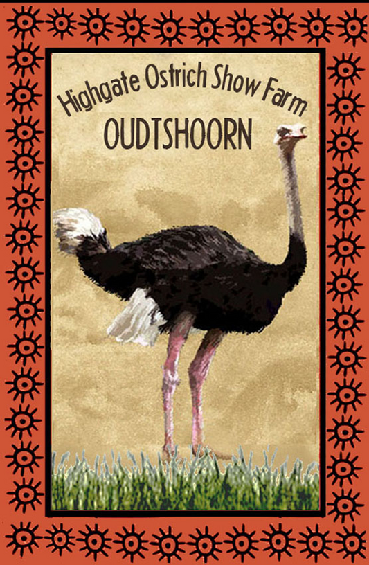 Highgate Ostrich Show Farm Magnet 19