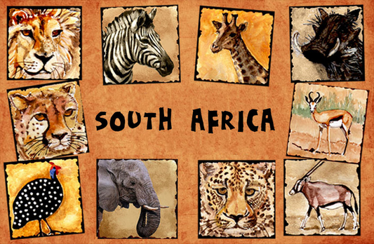 General South Africa Magnet 17