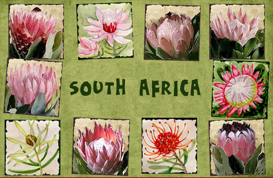 General South Africa Magnet 19