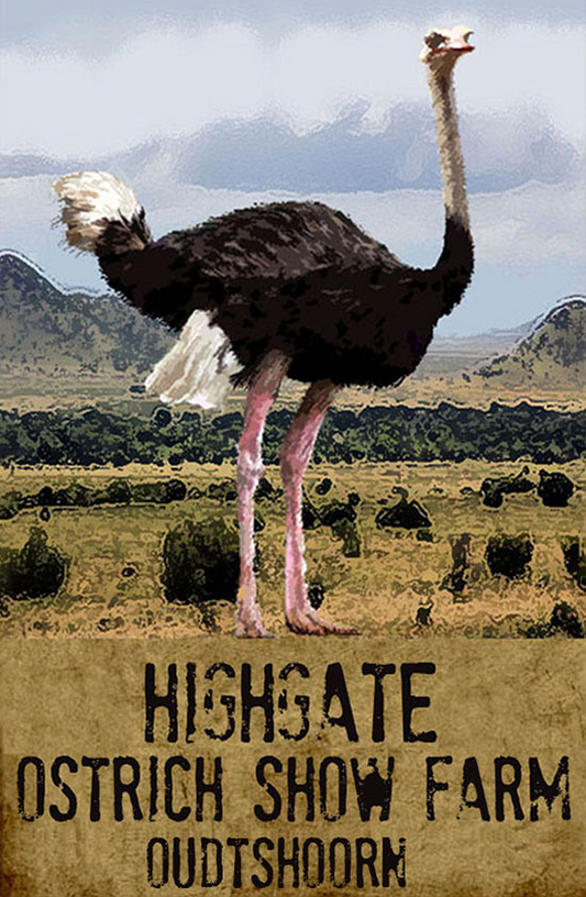Highgate Ostrich Show Farm Magnet 21
