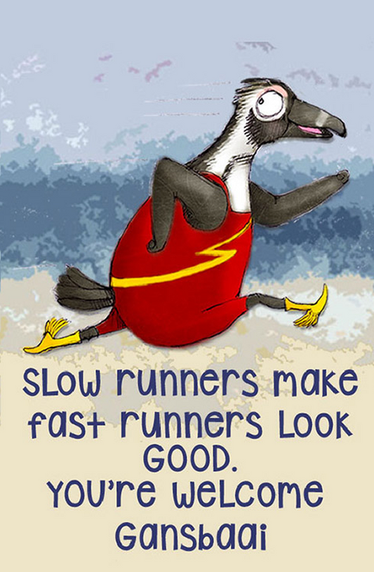 African Penguin Seabird Sanctuary Magnet 8