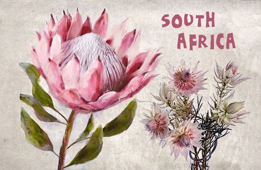 General South Africa Magnet 1