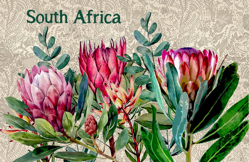 General South Africa Magnet 3
