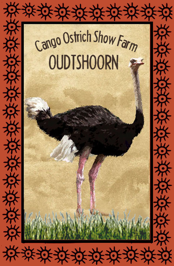 Cango Ostrich Show Farm Magnet 1
