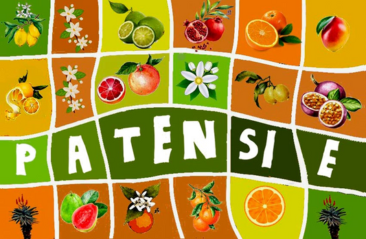 Product showcase image from staged upload