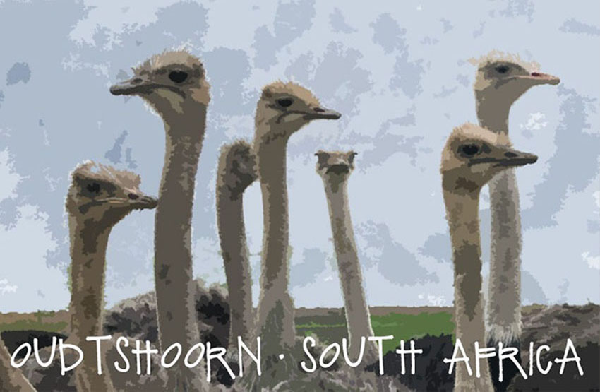 Oudtshoorn Magnet 5