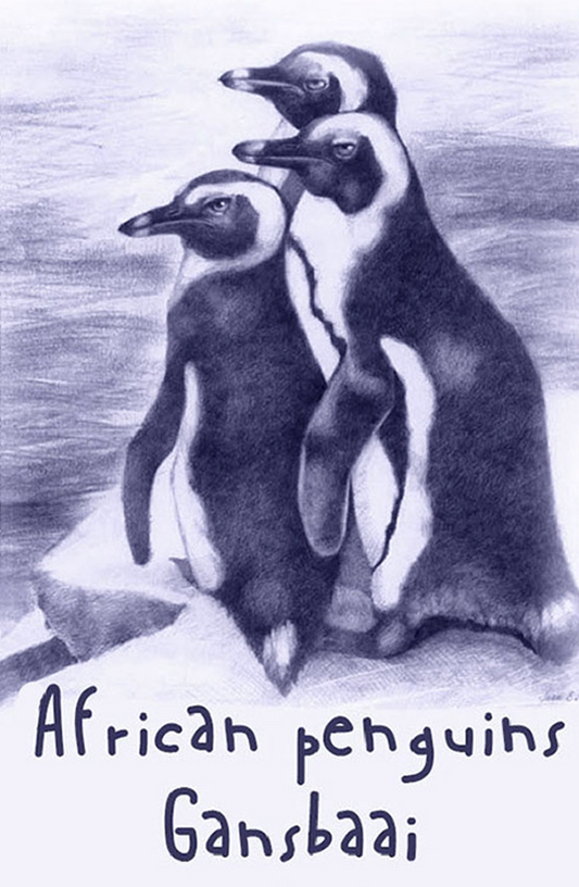 African Penguin Seabird Sanctuary Magnet 17