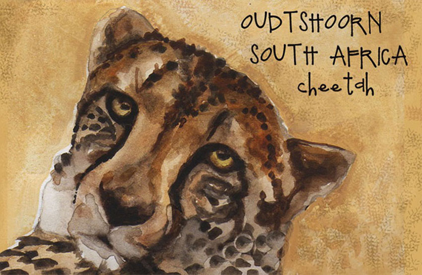 Oudtshoorn Magnet 11