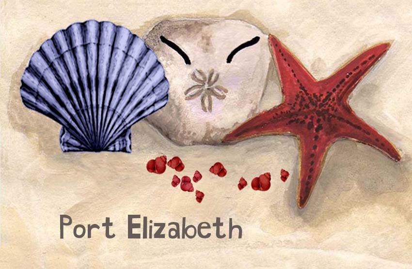 Product showcase image from staged upload