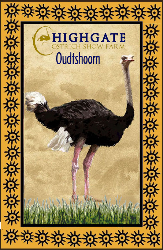 Highgate Ostrich Show Farm Magnet 23