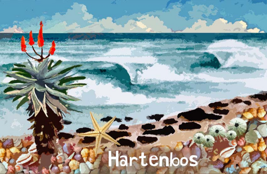 Hartenbos Magnet 28