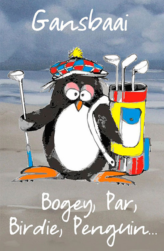 African Penguin Seabird Sanctuary Magnet 22