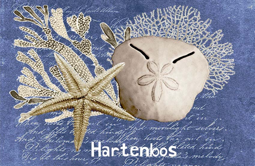 Hartenbos Magnet 32