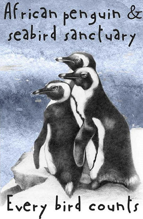 African Penguin Seabird Sanctuary Magnet 23