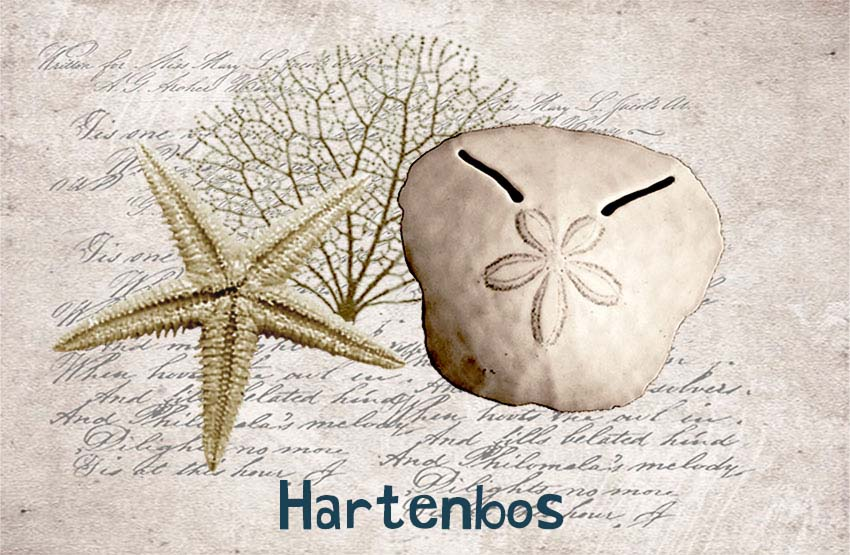 Hartenbos Magnet 33