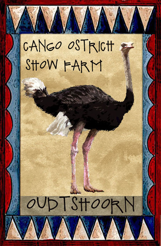 Cango Ostrich Show Farm Magnet 7