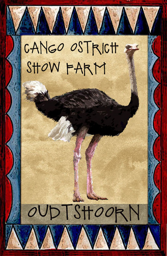 Cango Ostrich Show Farm Magnet 7