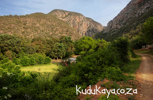 Kudu Kaya Magnet 8