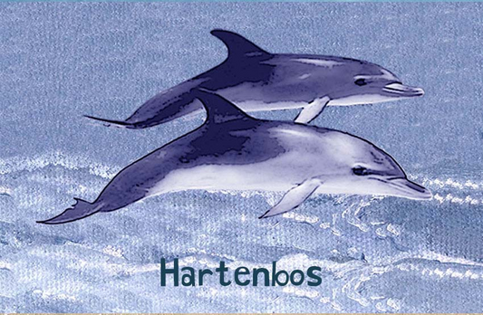 Hartenbos Magnet 38