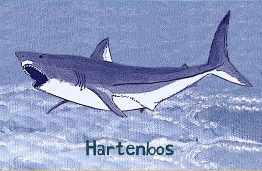 Hartenbos Magnet 40