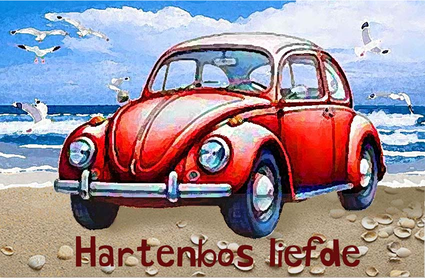 Hartenbos Magnet 46