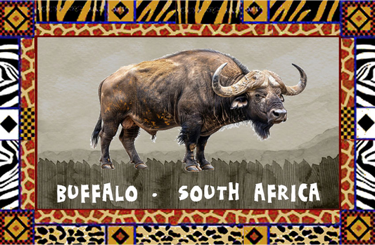 General South Africa Magnet 31