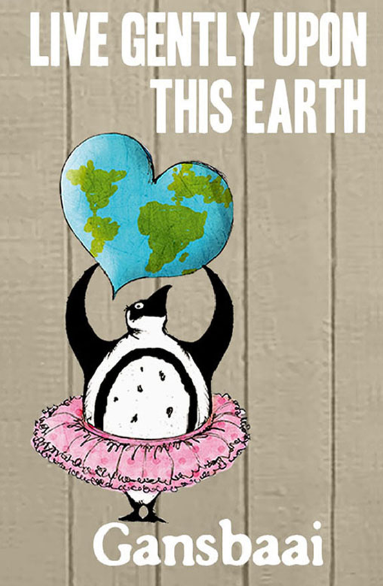 African Penguin Seabird Sanctuary Magnet 27