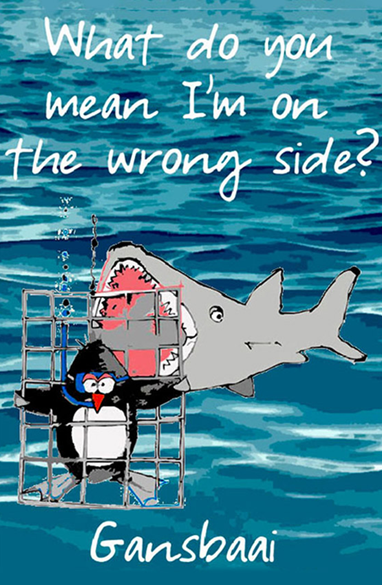 African Penguin Seabird Sanctuary Magnet 28