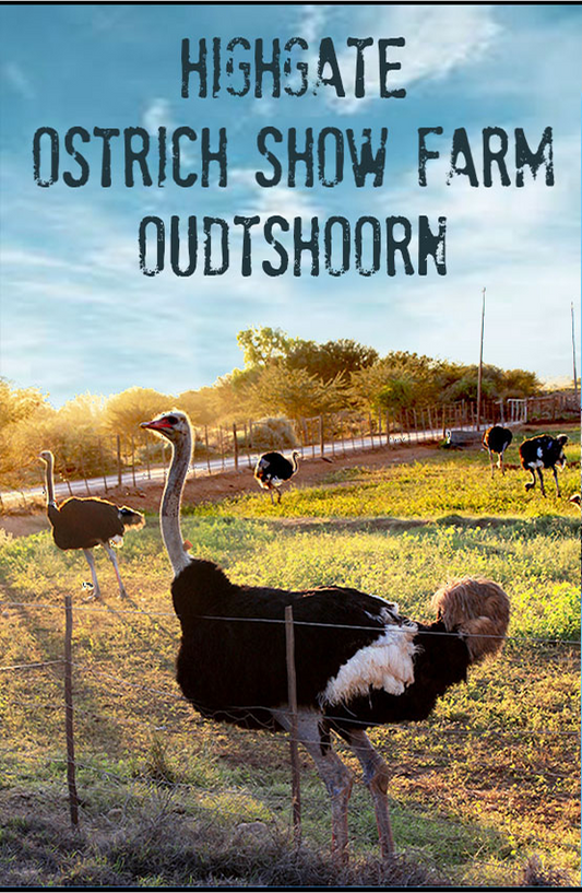 Highgate Ostrich Show Farm Magnet 28