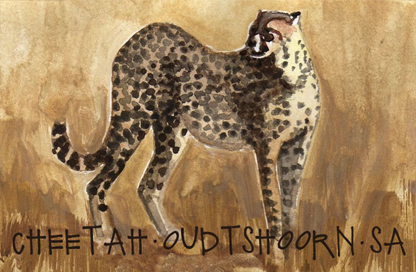 Oudtshoorn Magnet 15