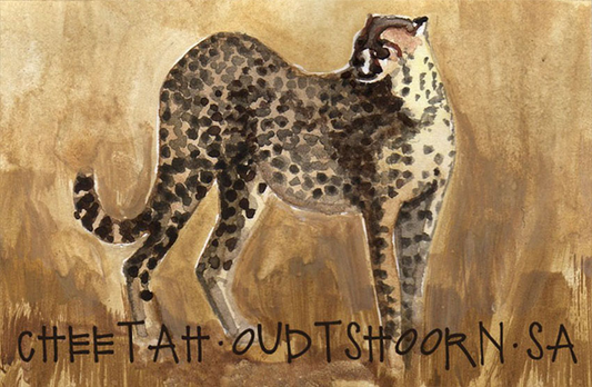 Oudtshoorn Magnet 15