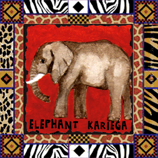 Kariega Magnet 2