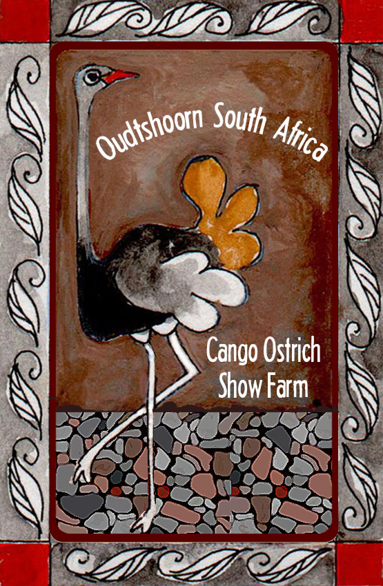 Cango Ostrich Show Farm Magnet 11