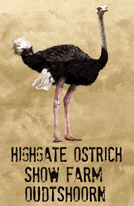 Highgate Ostrich Show Farm Magnet 30