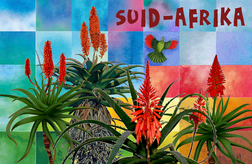 General South Africa Magnet 4