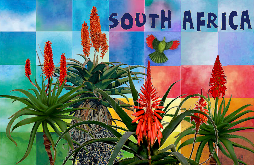General South Africa Magnet 5
