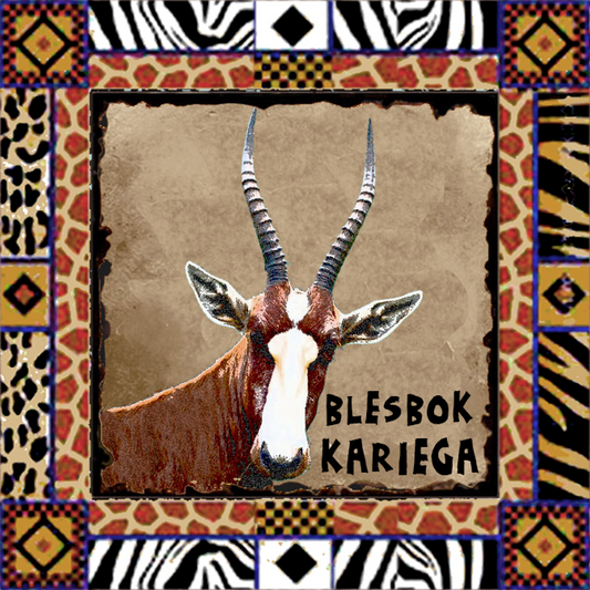 Kariega Magnet 4
