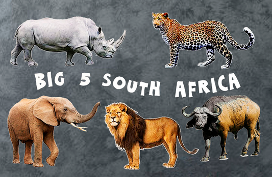 General South Africa Magnet 35