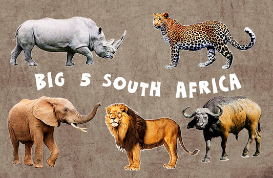 General South Africa Magnet 36