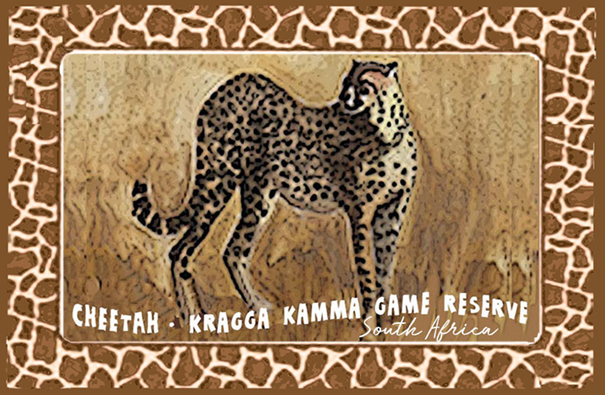 Kragga Kamma Game Reserve Magnet 4