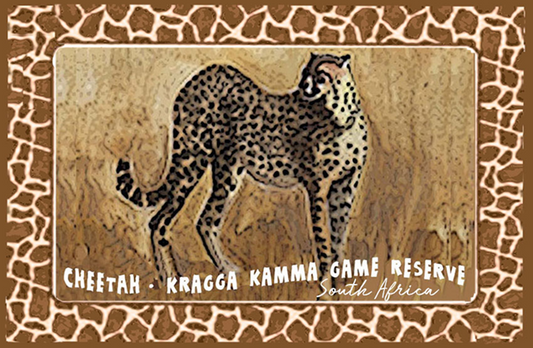 Kragga Kamma Game Reserve Magnet 4