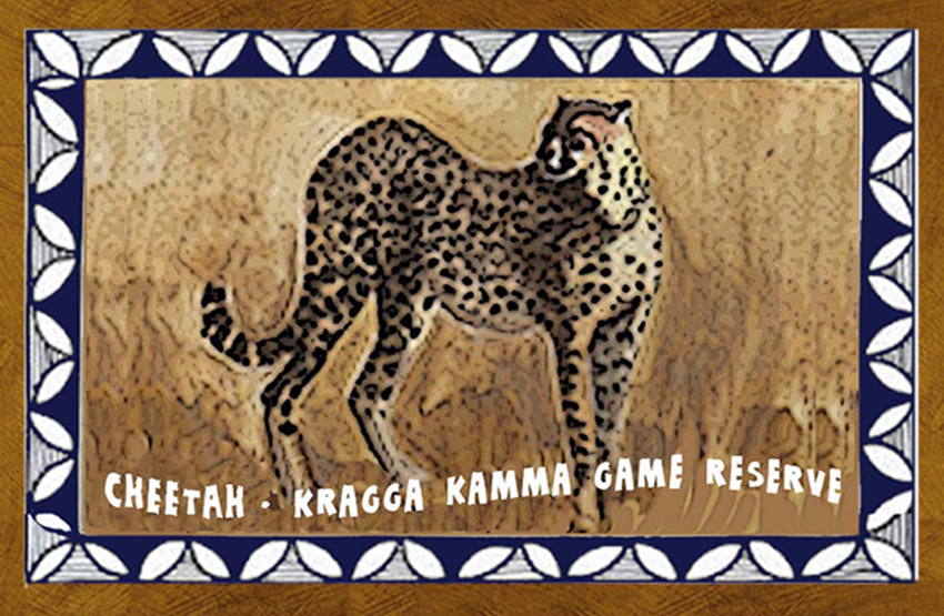 Kragga Kamma Game Reserve Magnet 5